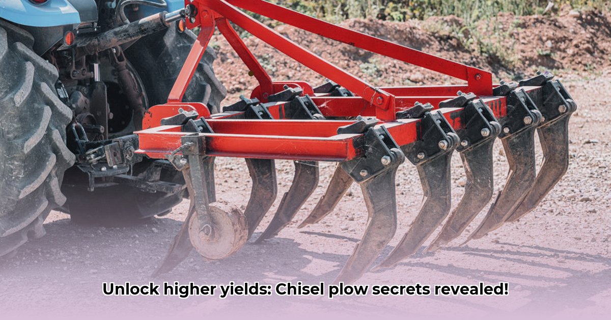 chisel-plow-points-tractor-supply